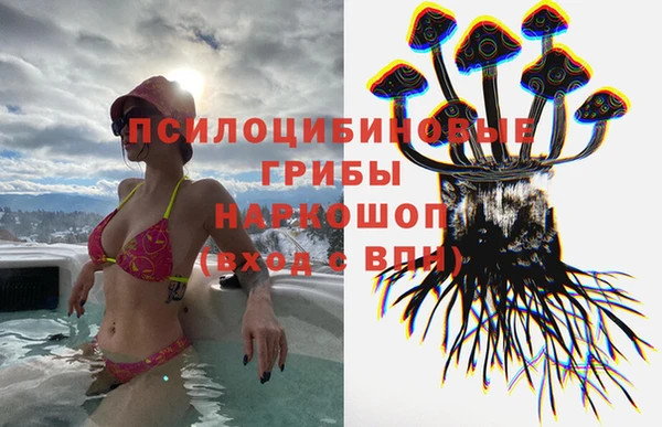 мяу мяу мука Михайлов