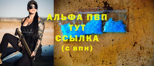 мяу мяу мука Михайлов