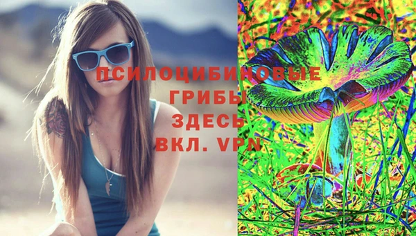ALPHA PVP Михайловка