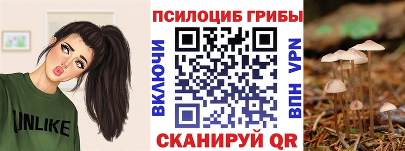 Галлюциногенные грибы мухоморы  Суздаль 